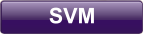 SVM